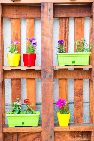 Téléchargez les photos : Fleurs printanières colorées dans des pots de fleurs - en image libre de droit