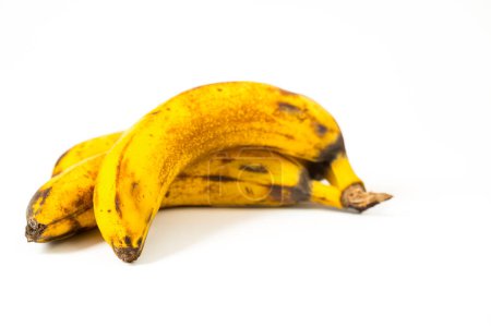 Foto de Manojo de plátanos maduros - Imagen libre de derechos