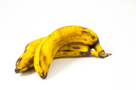 Foto de Manojo de plátanos maduros - Imagen libre de derechos
