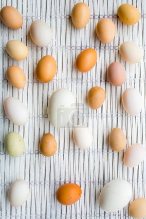 Téléchargez les photos : Différents types d'œufs frais - en image libre de droit