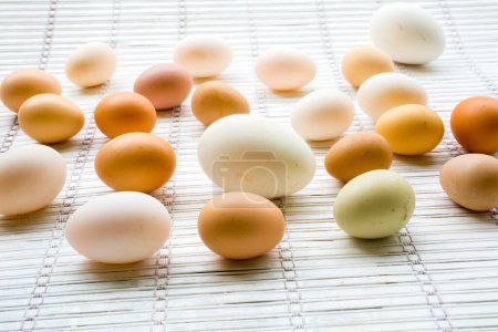Foto de Varios tipos de huevos frescos - Imagen libre de derechos