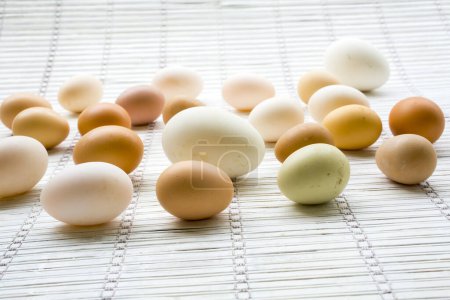 Foto de Varios tipos de huevos frescos - Imagen libre de derechos