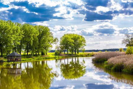 Téléchargez les photos : Paysage sur le lac au printemps - en image libre de droit