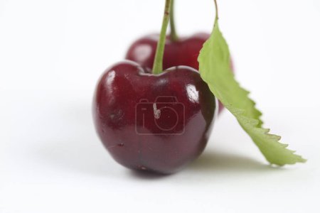 Photo for Sweet cherries on white background - Royalty Free Image