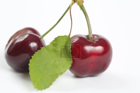 Photo for Sweet cherries on white background - Royalty Free Image