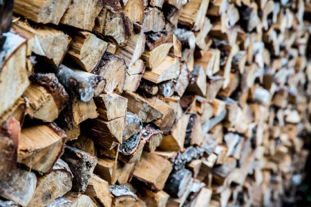Téléchargez les photos : Pile de bois de chauffage haché préparée pour l'hiver - en image libre de droit