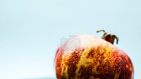 Photo for Pomegranate on rustic wooden background - Royalty Free Image
