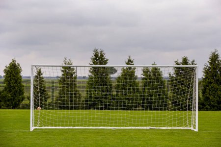 Photo for A soccer goal on the grass - Royalty Free Image