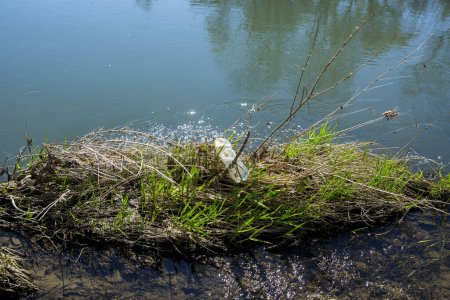 Téléchargez les photos : Déchets au bord de la rivière dans la forêt - en image libre de droit