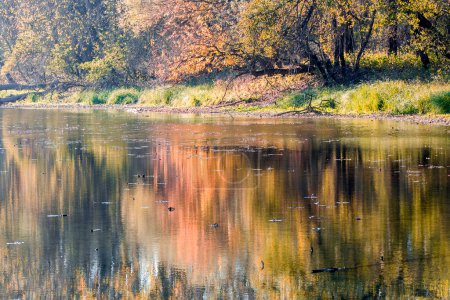 Téléchargez les photos : Paysage d'automne. Composition de la nature
. - en image libre de droit
