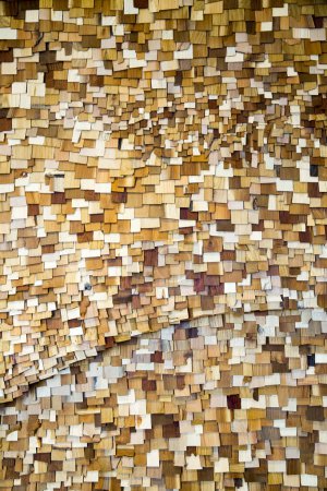 Photo for Wood wallpaper background texture - Royalty Free Image