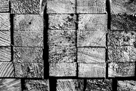 Foto de Texturas de madera fondo blanco y negro - Imagen libre de derechos