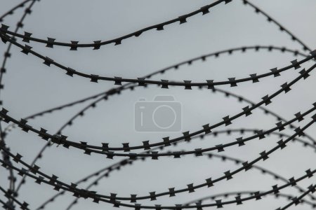 Photo for A razor wire on the border between two countries - Royalty Free Image