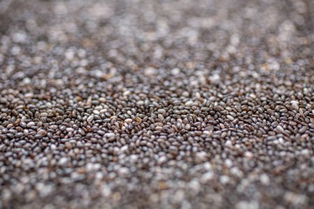 Téléchargez les photos : Les graines de chia. Superaliments sains
. - en image libre de droit