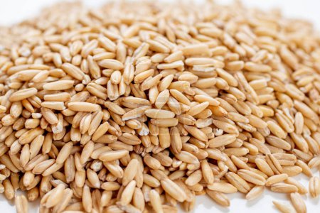 Téléchargez les photos : Grains de blé sur fond blanc - en image libre de droit