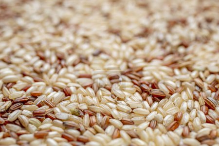 Foto de Granos integrales de arroz integral - Imagen libre de derechos