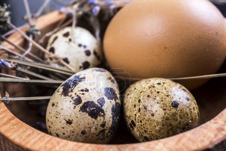 Photo for Chicken and quail eggs in bowl - Royalty Free Image