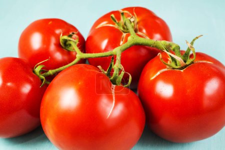 Téléchargez les photos : Tomates fraîches sur fond bleu - en image libre de droit