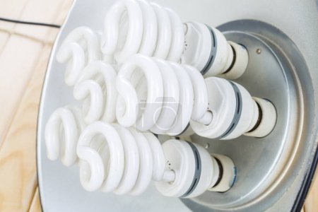Photo for Energy saving light bulbs - Royalty Free Image