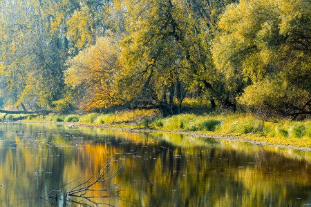 Foto de La naturaleza del paisaje: el río y los bosques en otoño - el reflejo del árbol en el agua - Imagen libre de derechos