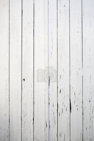 Foto de Textura de fondo de madera blanca - Imagen libre de derechos