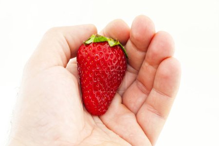 Foto de La fresa grande en la mano del niño. Aislado sobre blanco - Imagen libre de derechos
