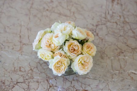 Téléchargez les photos : Rose rose fleurs vue de dessus - en image libre de droit