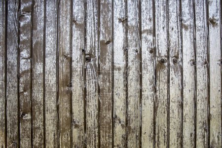 Foto de Textura de madera. paneles antiguos de fondo - Imagen libre de derechos