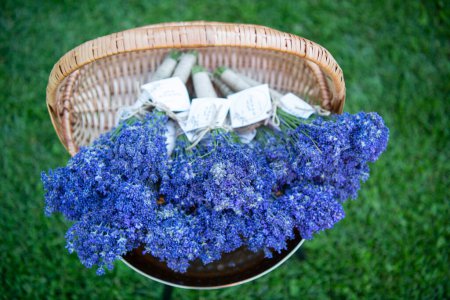 Téléchargez les photos : Bouquet de lavandes fraîchement récoltées - en image libre de droit