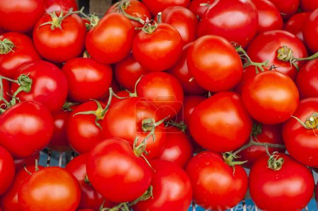 Téléchargez les photos : Groupe de tomates rouges fraîches - en image libre de droit