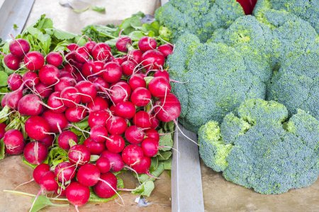 Photo for Fresh organic radishes and broccoli - Royalty Free Image