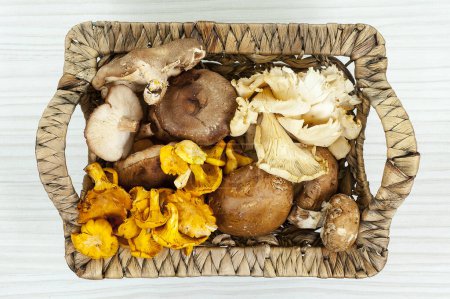 Photo for A pile of raw exotic mushrooms on a wooden plate - Royalty Free Image