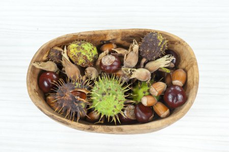 Photo for Decorative autumn border with chestnuts and hazelnuts - Royalty Free Image