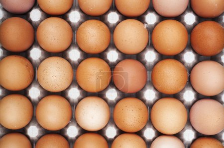 Foto de Primer plano de la caja de cartón con huevos de pollo - Imagen libre de derechos