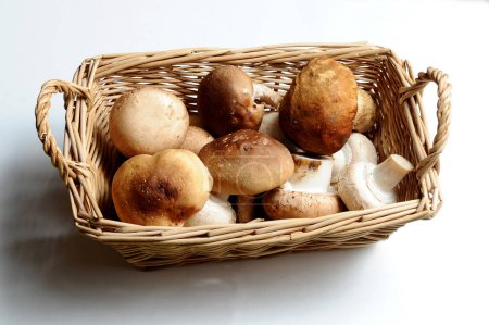 Photo for Mushrooms in wooden basket on white - Royalty Free Image
