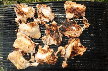 Photo for Grilled chicken on picknic - Royalty Free Image