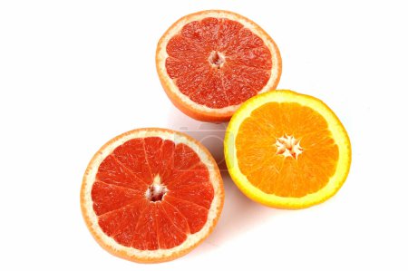 Téléchargez les photos : Oranges et Grepfruton un fond blanc - en image libre de droit