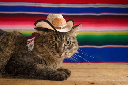 Cat wearing Mexican hat with serape in background. Cinco de Mayo background.