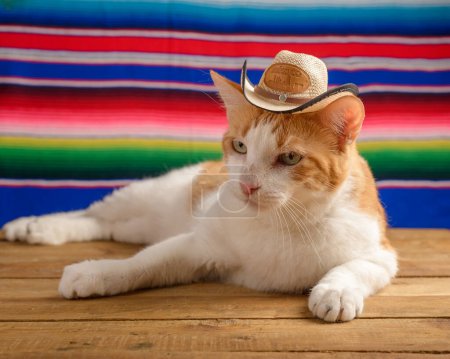 Cat wearing Mexican hat with serape in background. Cinco de Mayo background.