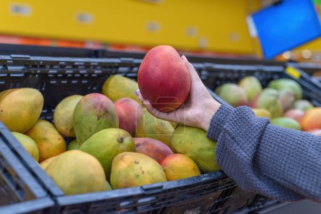 Hand holding a mango at a supermarket.