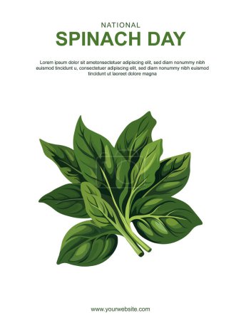Fondo del Día Nacional de las Espinacas. Alimentos y bebidas. Ilustración vectorial.