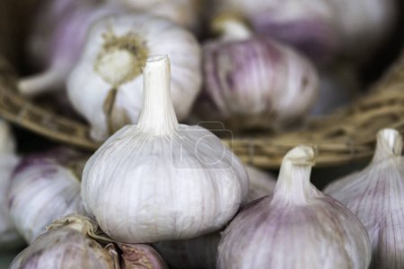 Photo for White garlic bulbs with many garlic in vintage wooden baskets and on blurred wooden background .Healthy food concept. - Royalty Free Image