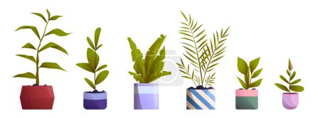 Illustration for Home and office plants in flowerpots. Set of potted domestic tropical decorative palms, houseplants in ceramic pots interior decor isolated graphic design elements Cartoon vector illustration - Royalty Free Image