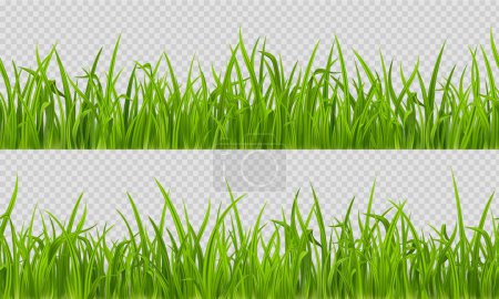 Téléchargez les illustrations : Herbe sans couture, motif horizontal réaliste de pelouse verte isolé sur fond transparent. Texture estivale ou printanière des prés, carreaux d'herbes, lames herbeuses luxuriantes, bordures de paysage, illustration vectorielle 3D, - en licence libre de droit