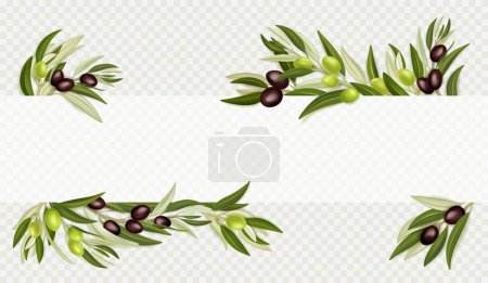 Illustration for Olive branches with black and green fruits and leaves isolated on transparent background. Banner template with border of mediterranean tree sprigs with olives, vector realistic illustration - Royalty Free Image