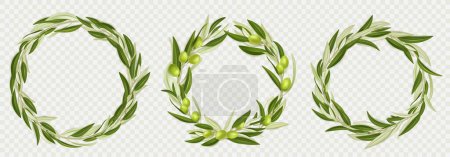 Illustration for Wreaths of olive tree branches with green fruits and leaves isolated on transparent background. Circle borders of tree sprigs with fresh olives, vector realistic illustration - Royalty Free Image