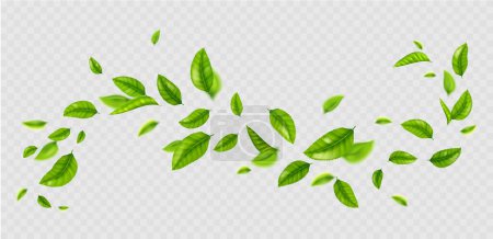 Frische grüne Blätter fliegen im Wind. Luftwelle mit sommerlichem oder frühlingshaftem Laub. Konzept sauberer Natur, Ökologie, gesundes biologisches Essen und Trinken, vektorrealistische Darstellung