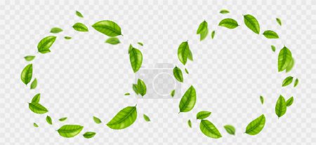 Set of round green leaves frame png isolated on transparent background. Realistic vector illustration of circular wreath with fresh foliage. Symbol of mint freshness, organic product, natural beauty