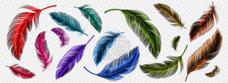 Plumas de color, plumaje de pájaro suave aislado sobre fondo transparente. Rojo, rosa, azul y verde plumas suaves mullidas, plumas de colores brillantes, ilustración realista vector