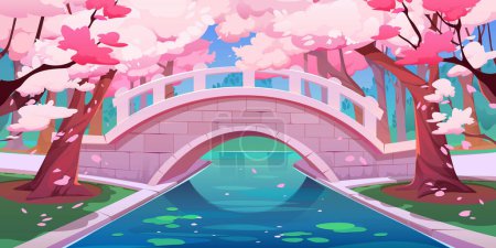 Japanese cherry garden with bridge and sakura blossom. Spring landscape of park with stone bridge over river or brook, chinese cherry trees with pink flowers, vector cartoon illustration